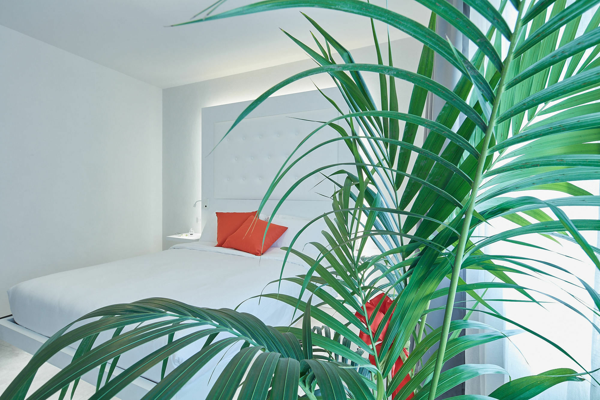 B&B Via Roma 25 Arezzo Buitenkant foto